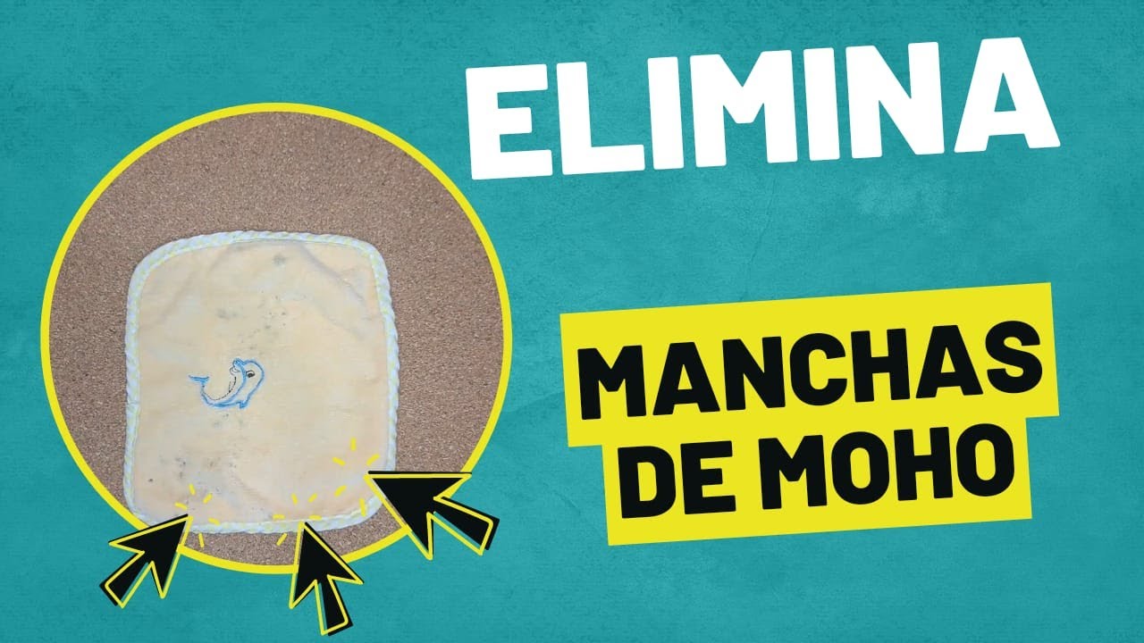 Eliminar manchas de bilis en la ropa