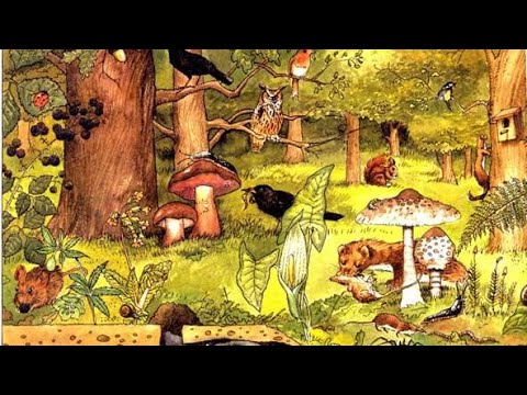Estabilidad del ecosistema: acciones necesarias
