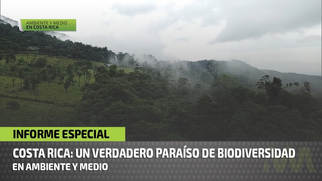 Explora la biodiversidad de la flora y fauna de Costa Rica