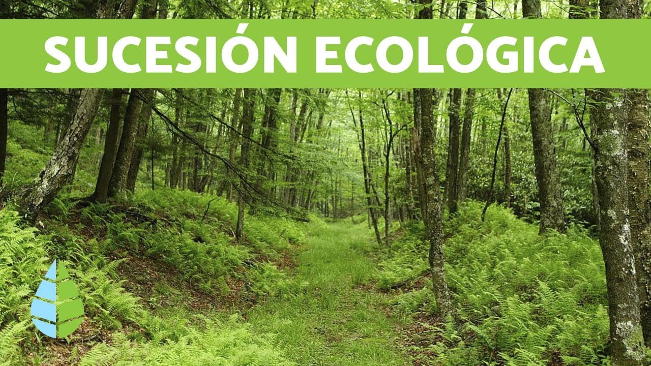 Explorando la sucesión ecológica