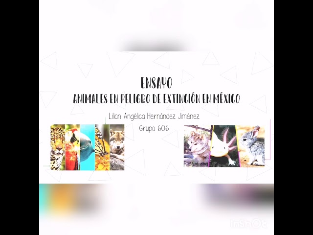 Extinción de animales en México: un ensayo