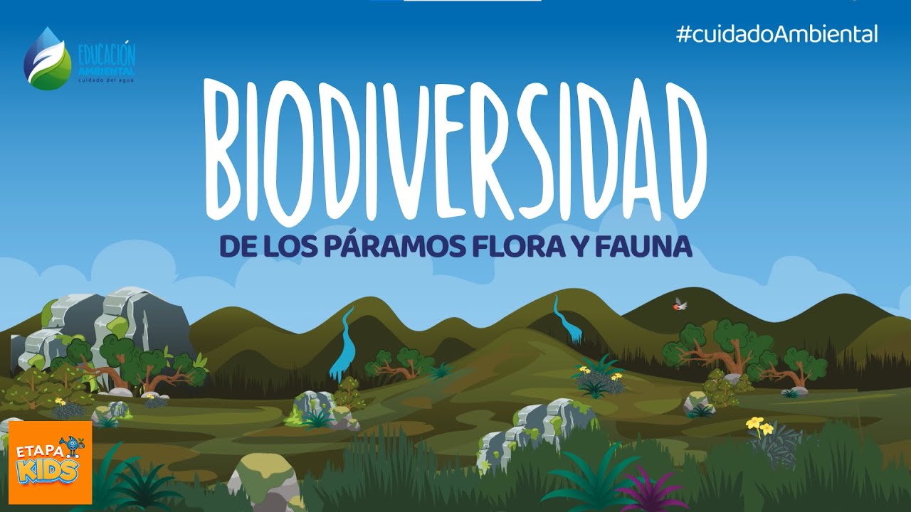 Flora y fauna en el bosque montano de Ecuador