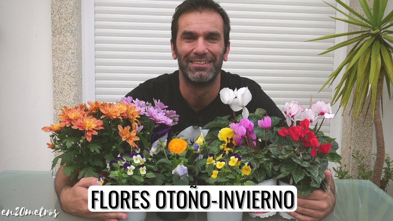 Flores de primavera secretos de la luna de otoño