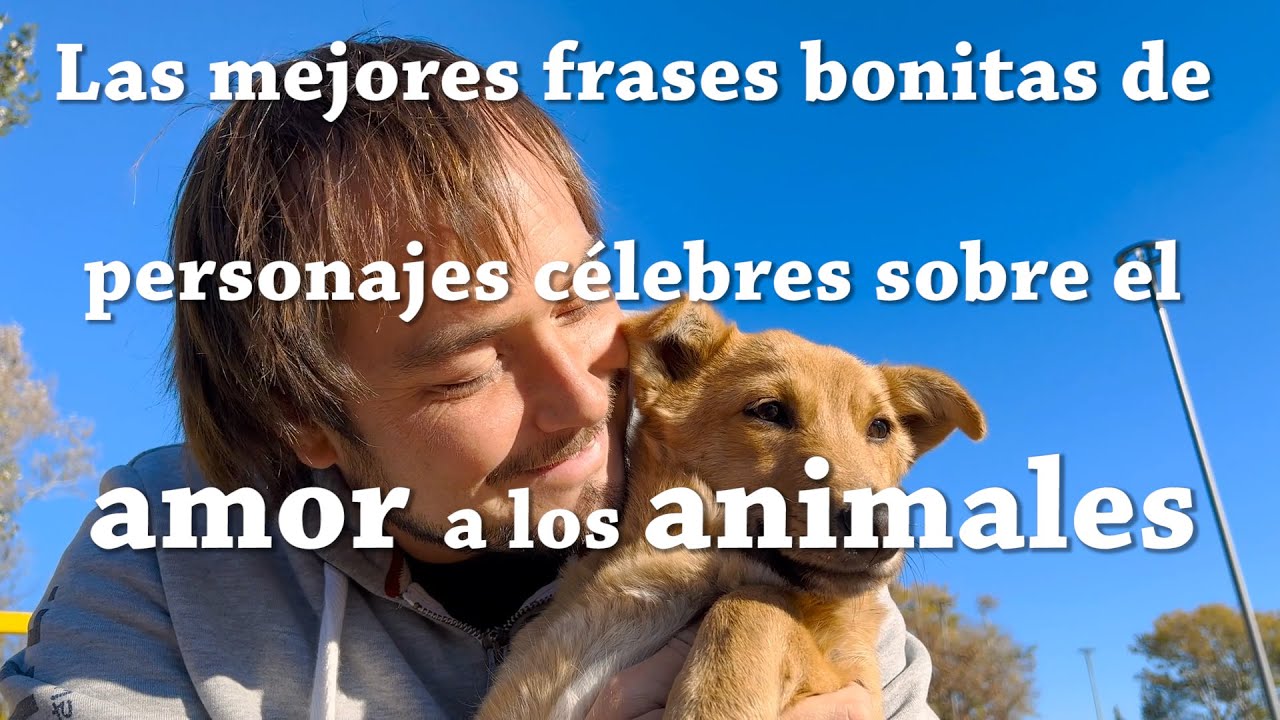 Frases inspiradoras sobre los derechos de los animales