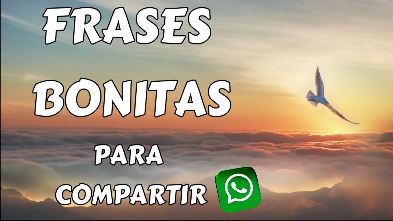 Frases que apreciarán tus sentidos