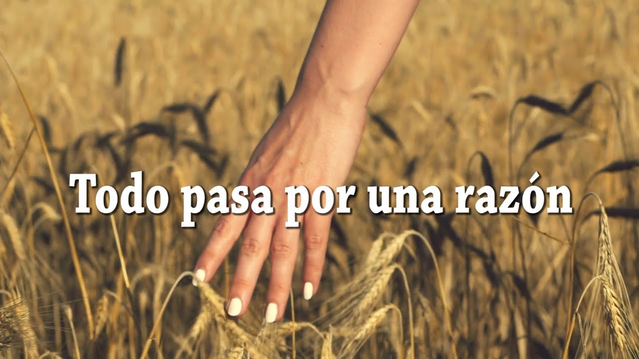 Frases sobre el destino: Reflexiona sobre el todo pasa por algo con estas frases