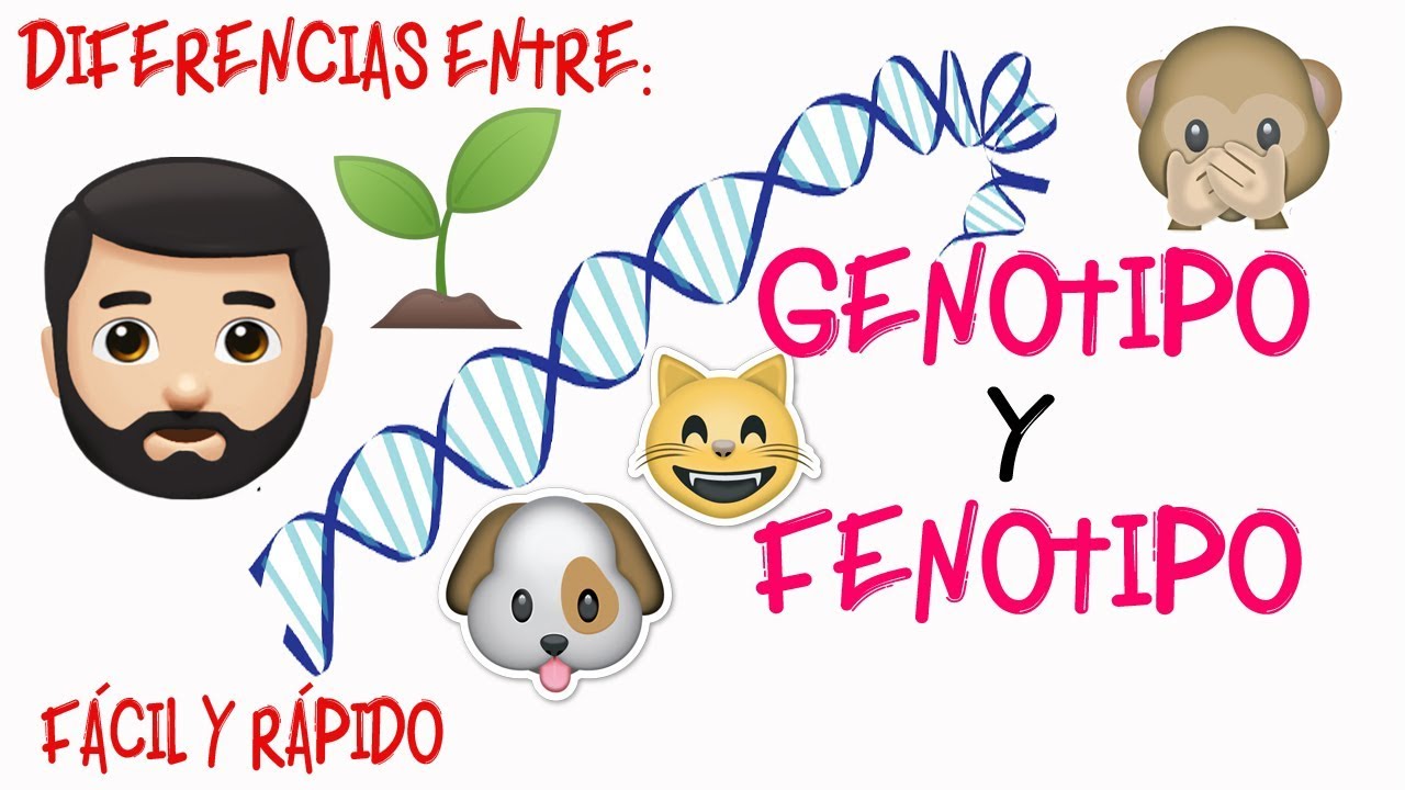 Genotipo vs. fenotipo: Similitudes y diferencias