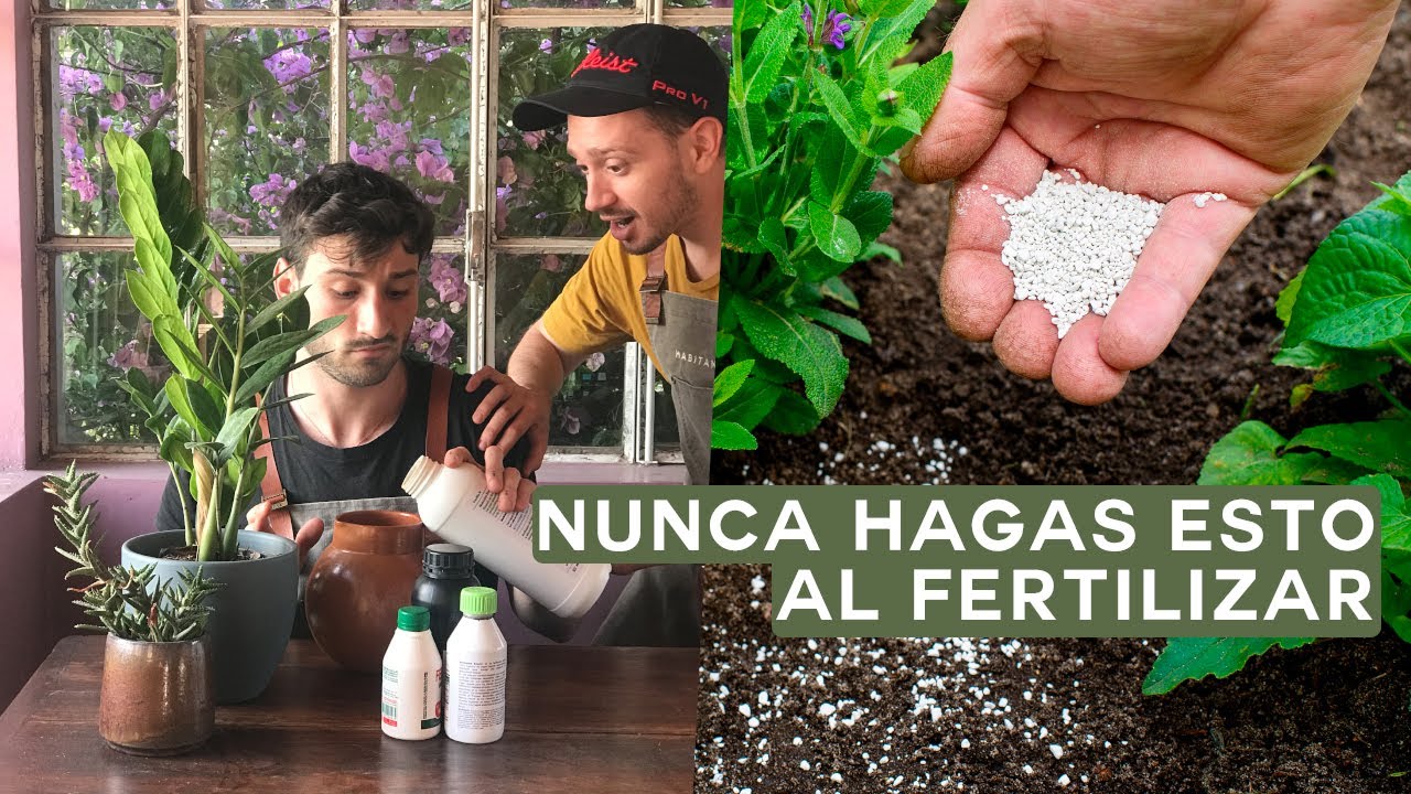 Guía para aplicar fertilizante a tus plantas