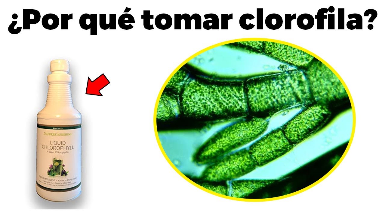 Impacto de la falta de clorofila