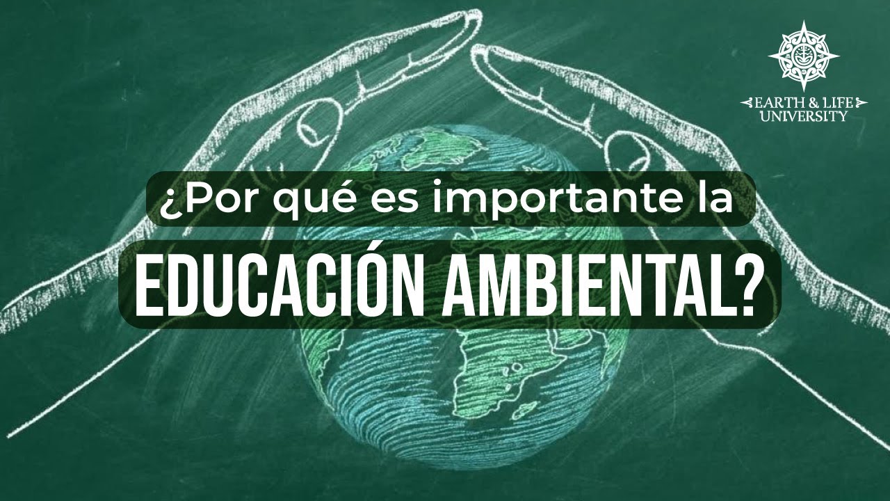 Impacto de la falta de educación ambiental