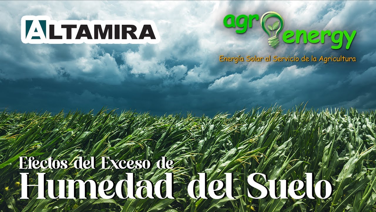 Importancia de la humedad en el suelo
