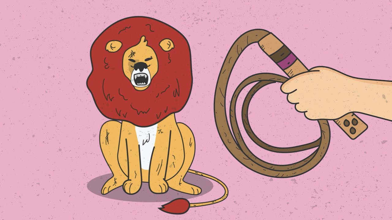 Introducción desarrollo y conclusión sobre el maltrato animal
