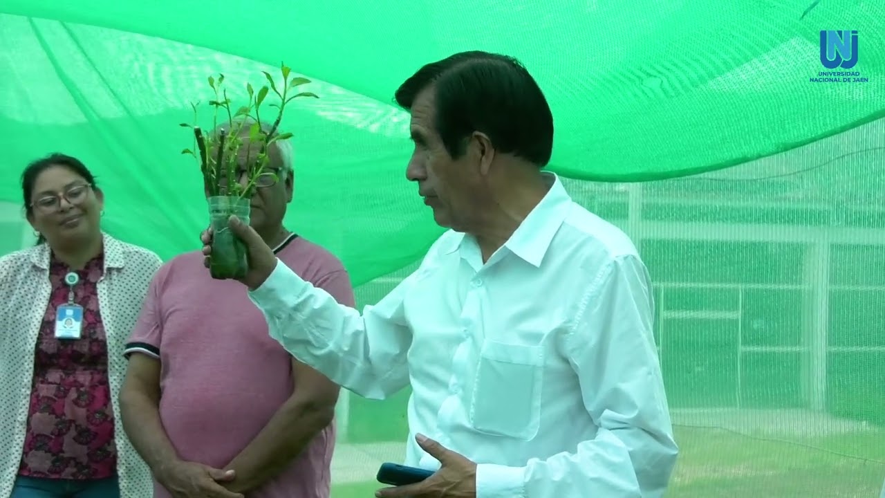 La asombrosa planta de la vida