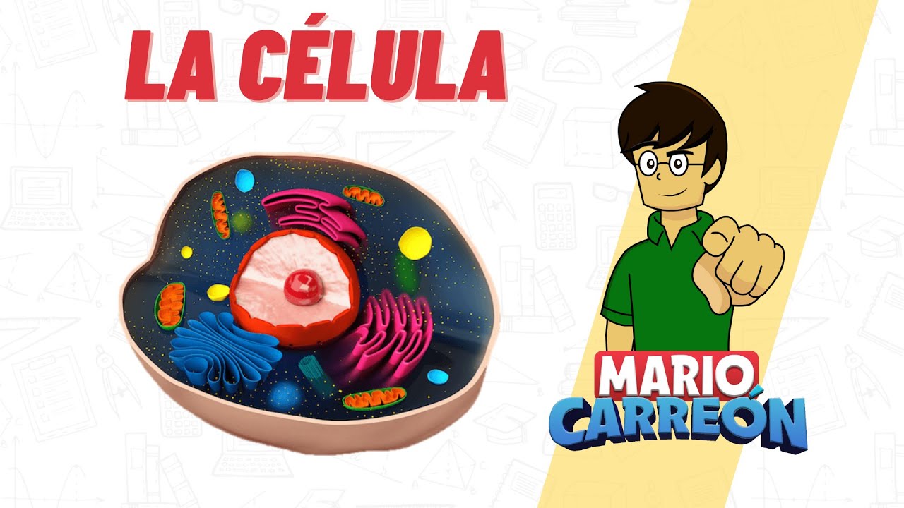 La célula: una unidad morfológica esencial