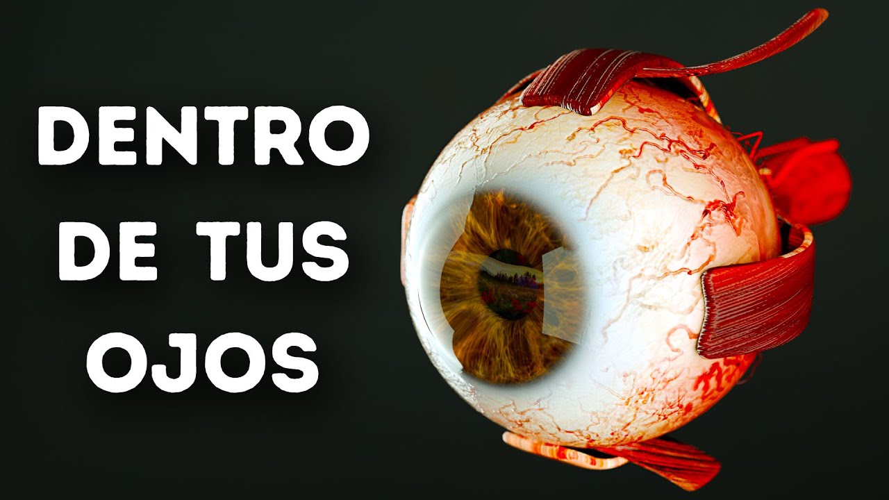 La ciencia detrás del brillo en los ojos