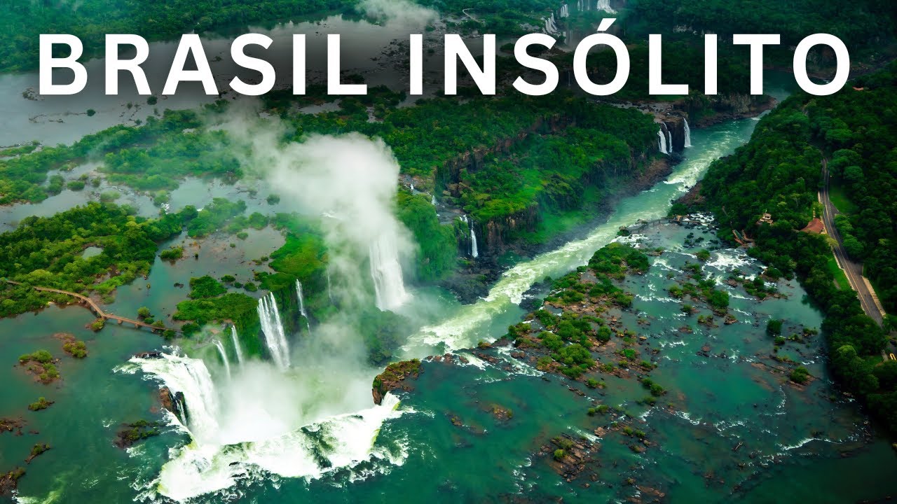 La diversidad de especies animales en Brasil