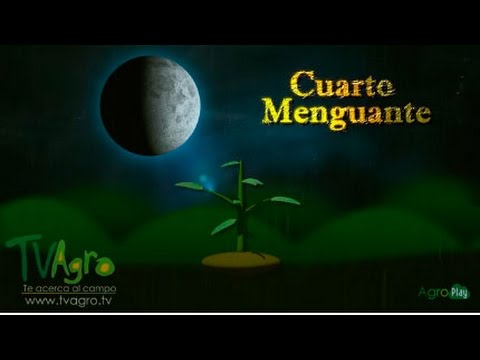 La importancia de la luna para los indígenas