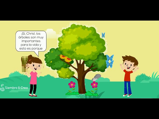 La importancia de plantar árboles