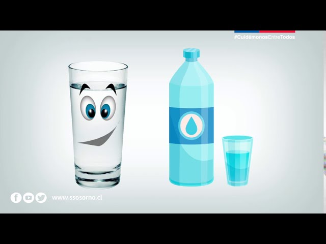 La importancia del agua en nuestro cuerpo