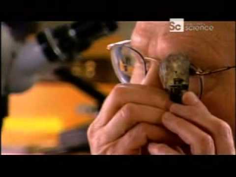 La importancia del microscopio en biología