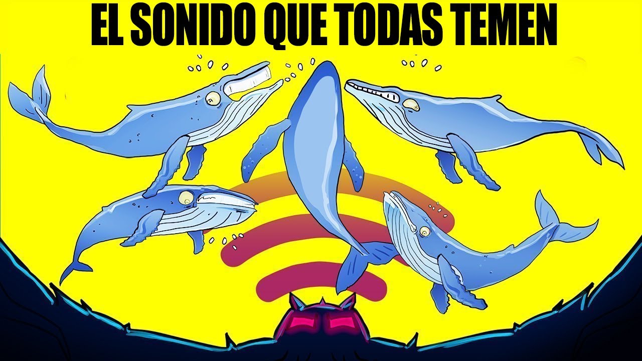 La longevidad de las ballenas marinas: ¡sorprendente!