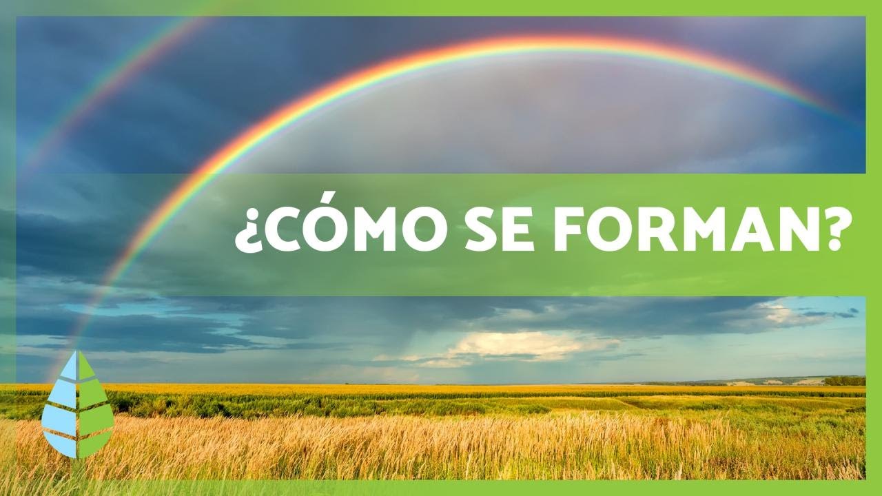 La magia detrás de un arcoíris para niños