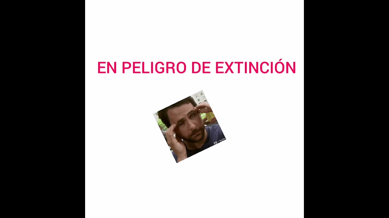 La rana de la Sierra Madre Occidental: características