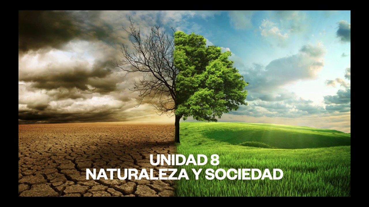 La relación entre sociedad y medio ambiente