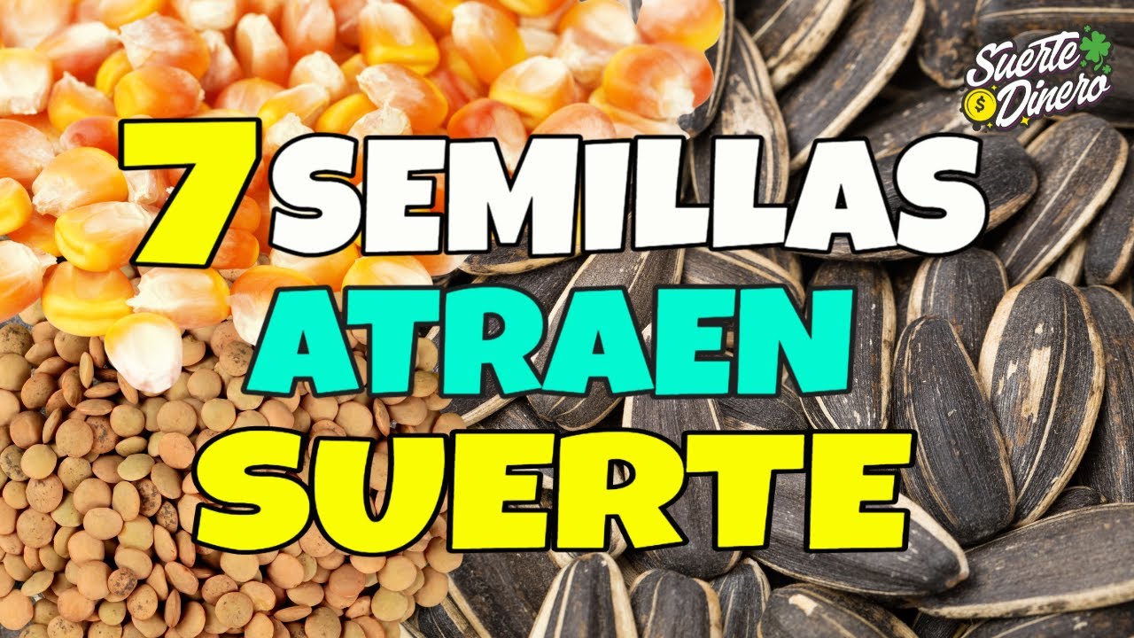 Las siete semillas de la abundancia: ¿cuáles son?