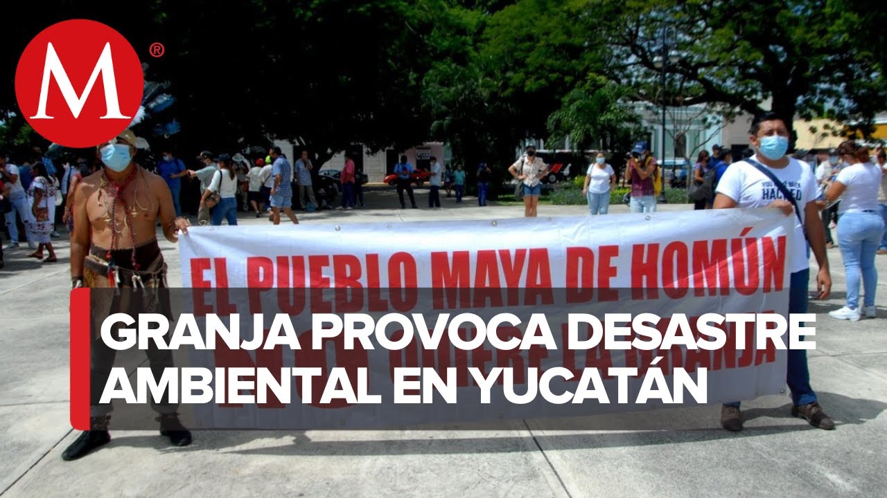 Ley de protección ambiental en Yucatán