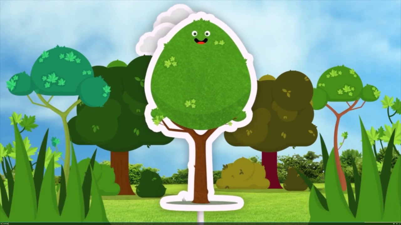 Los elementos esenciales para la vida de las plantas
