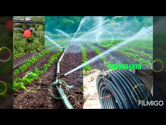 Manguera negra de 3/4 para agua