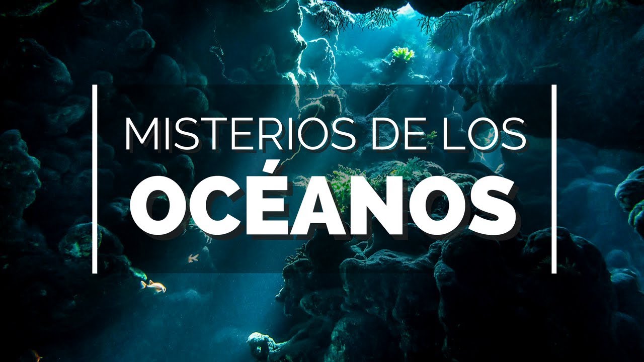 Maravillas en las profundidades del mar