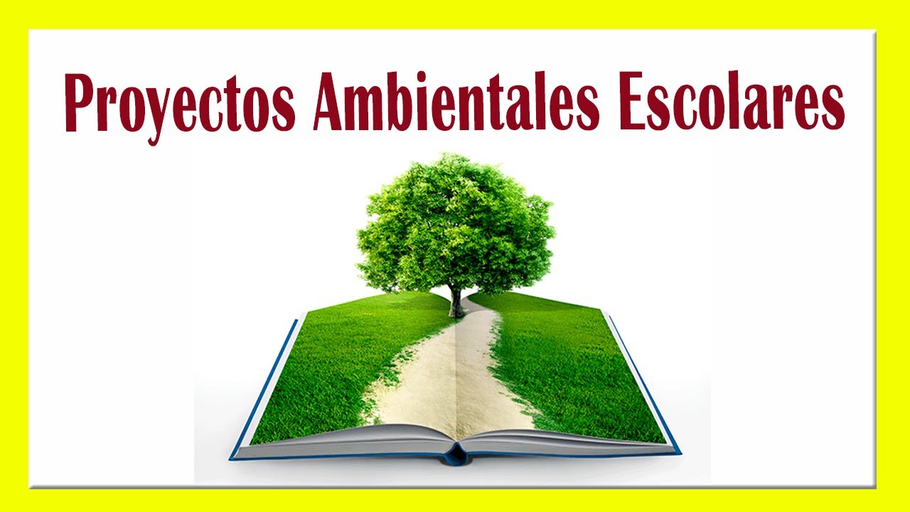 Metas de un proyecto ambiental escolar