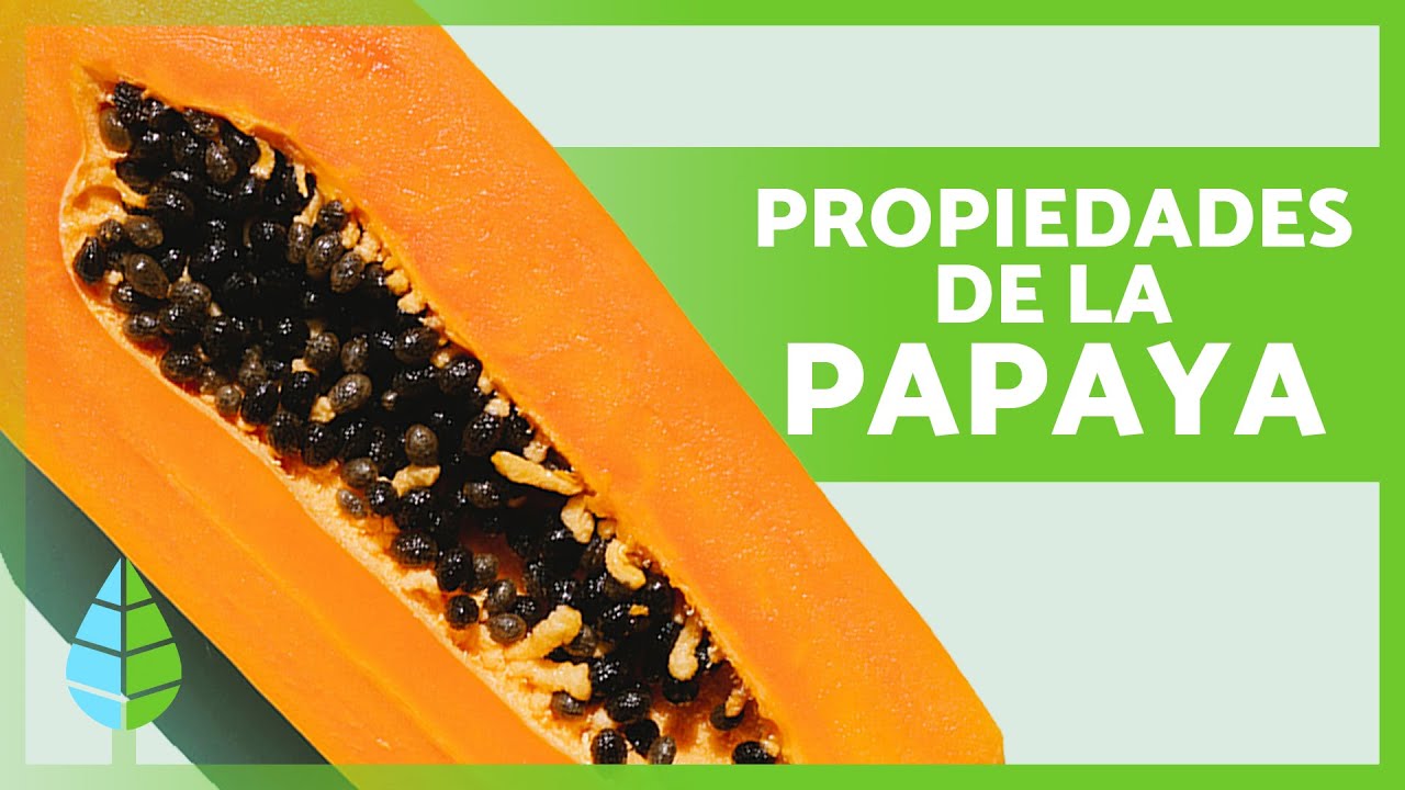 Nombre científico de la papaya
