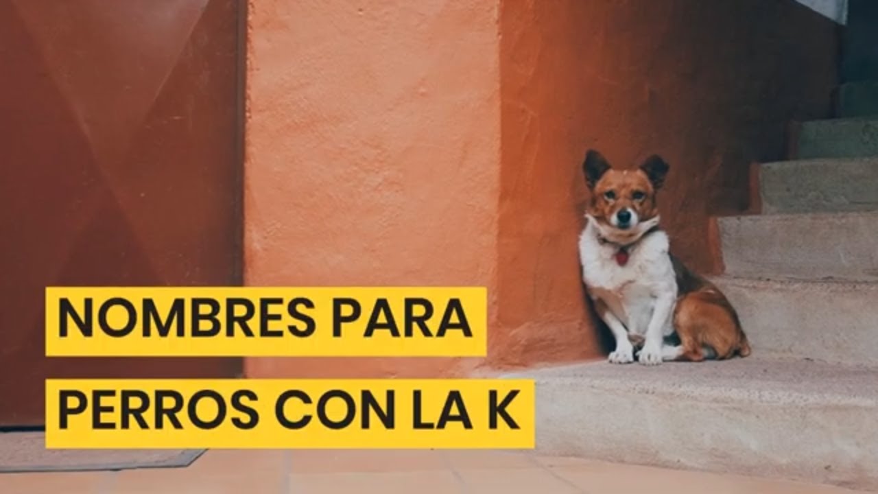 Nombres caninos que comienzan con K
