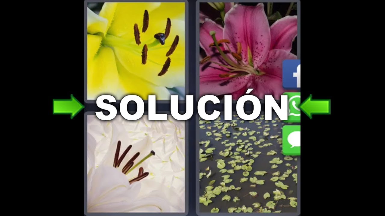 Nombres de flores amarillas de 7 letras