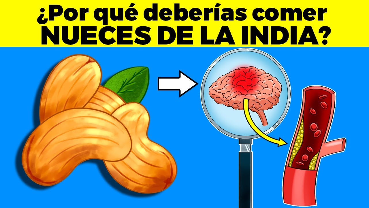 Nuez de la India: beneficios y desventajas