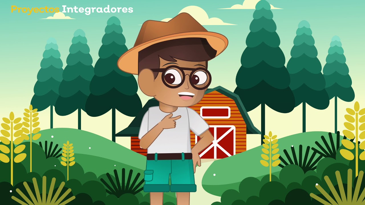 Nutrición: plantas vs. animales