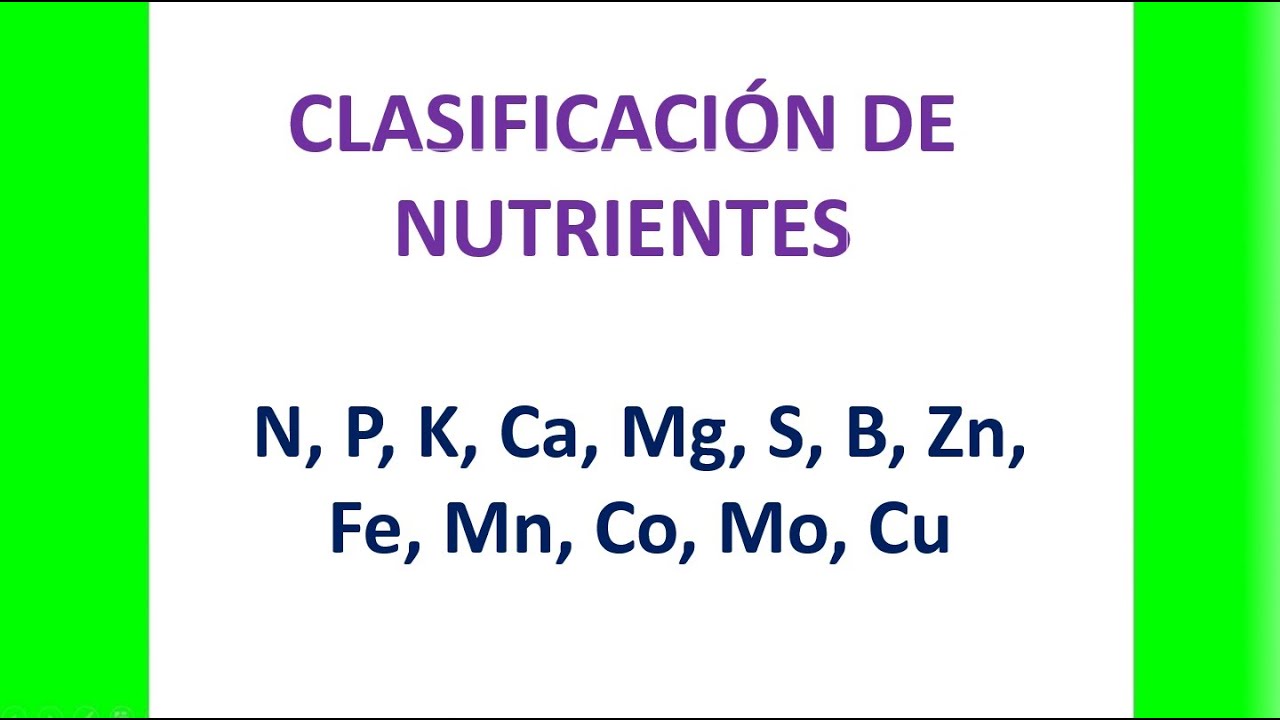 Nutrientes esenciales para las plantas