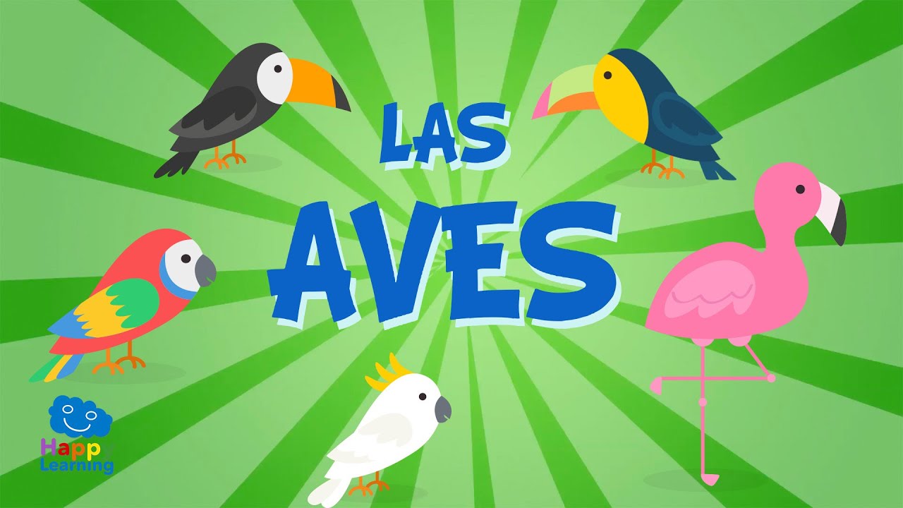 Observa las aves del mundo: ¡conoce sus nombres!