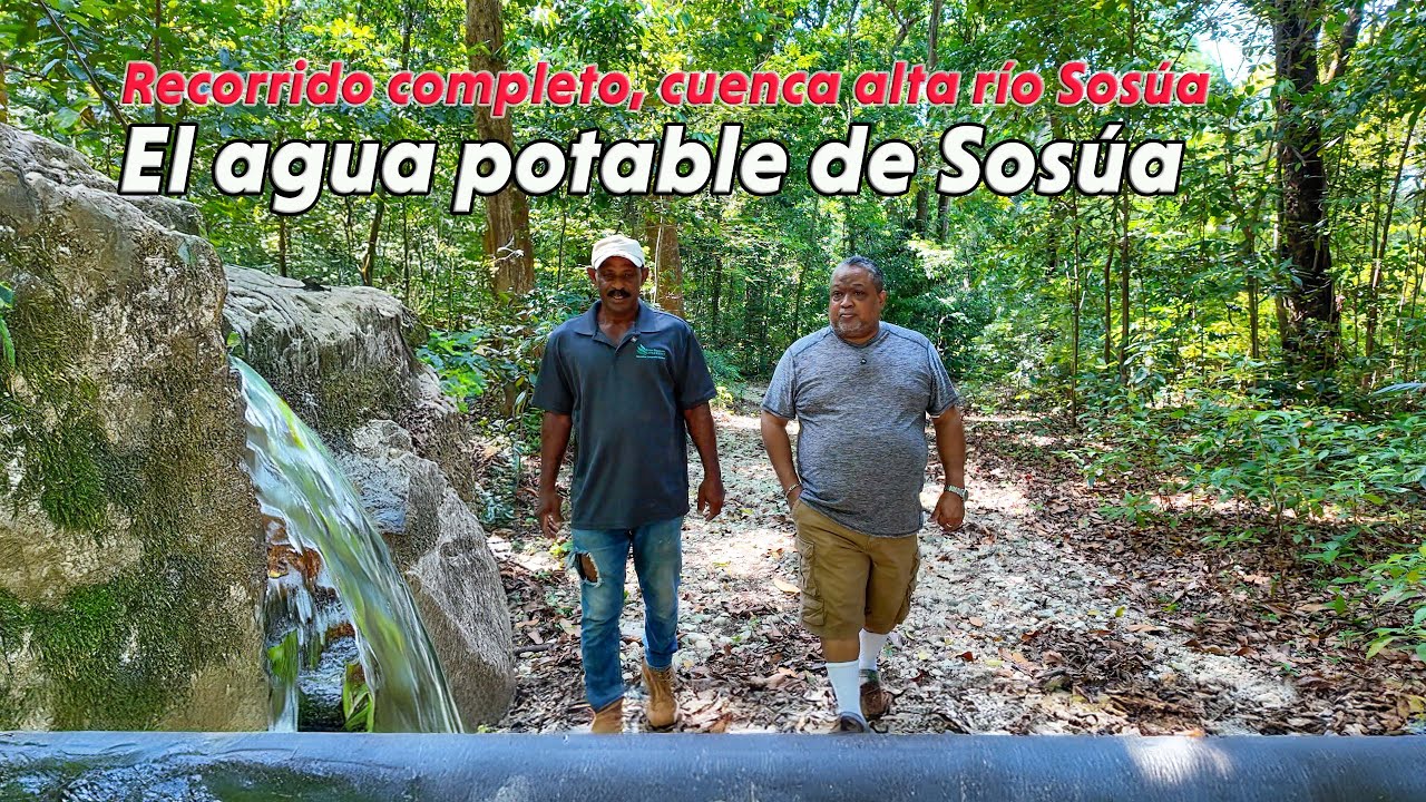 Origen del agua potable: ¡Descúbrelo!