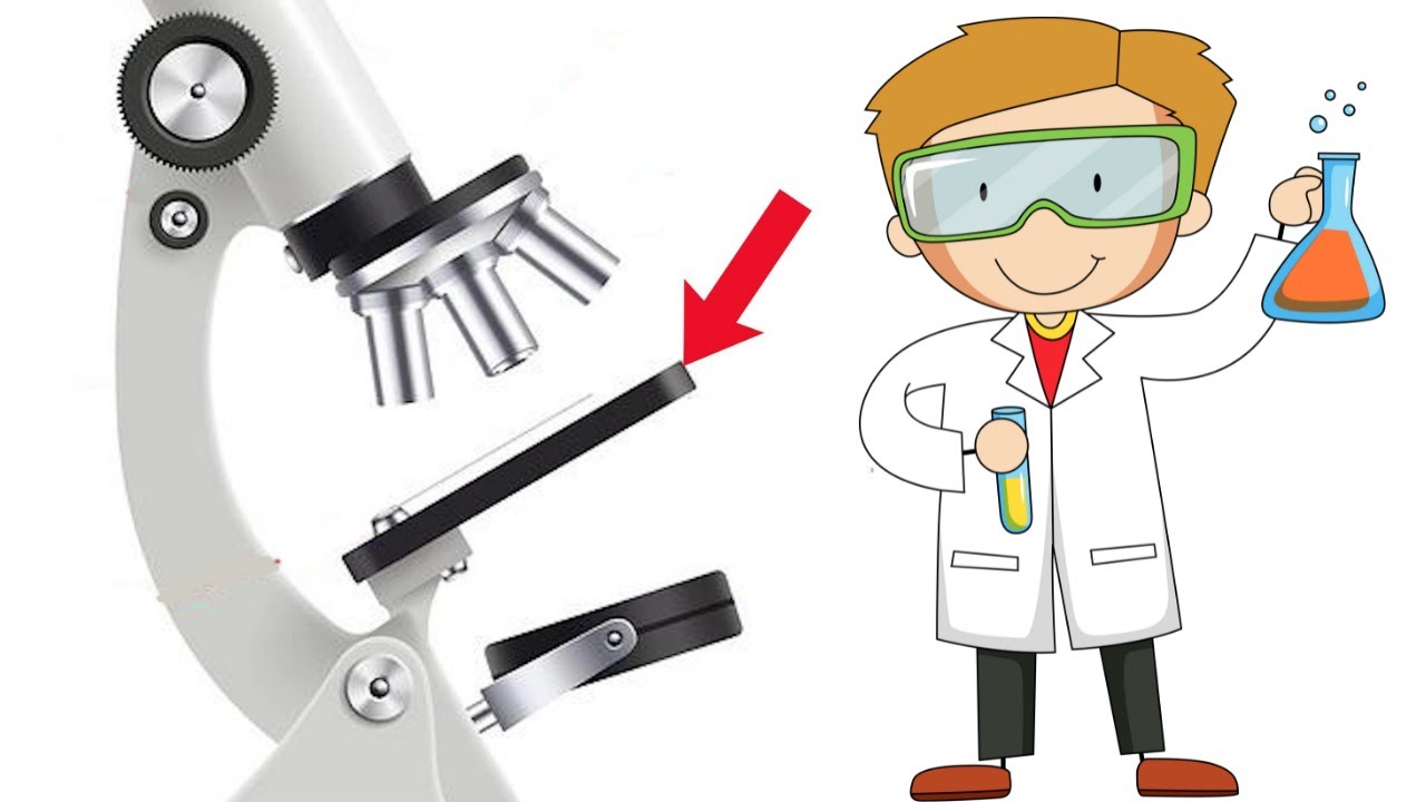 Partes esenciales de un microscopio óptico