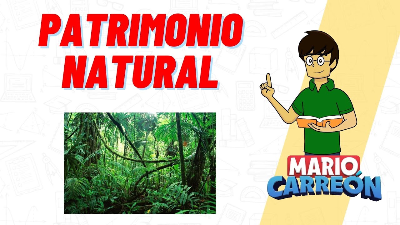 Patrimonio natural vs. cultural: diferencia clave