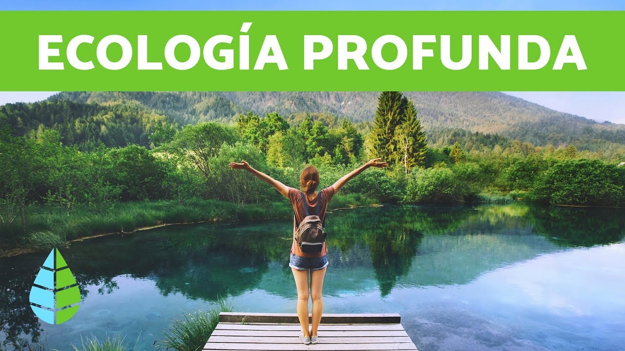 Principios de la ecología profunda