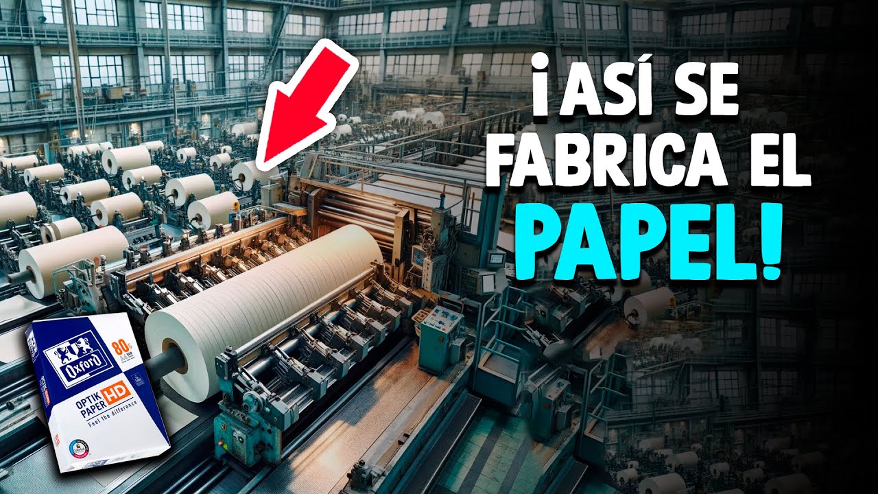 Proceso de fabricación del papel
