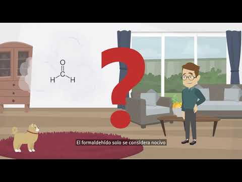 Productos derivados de la madera