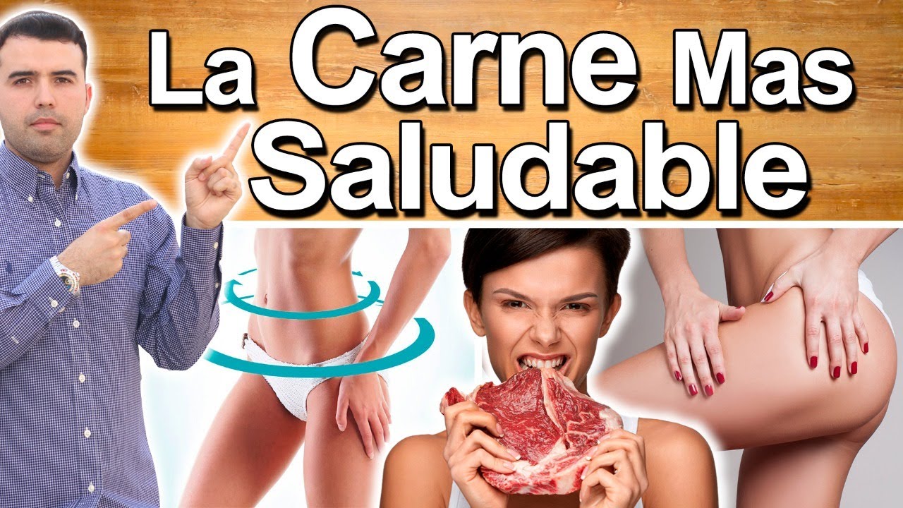 Propiedades de la carne de oso: un manjar con beneficios sorprendentes