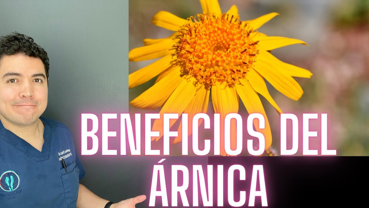 Propiedades del té de árnica para problemas estomacales