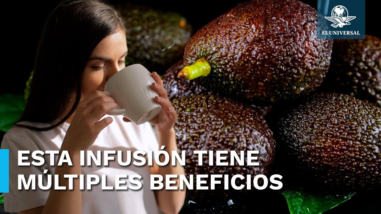 Propiedades medicinales de la hoja de aguacate